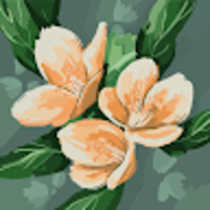 Meet your Posher, Riella